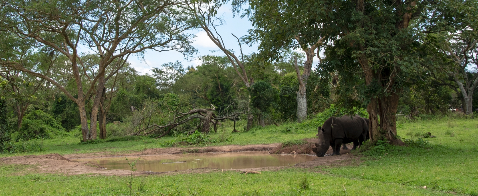 Discover beauty and diverse wildlife of Uganda on this 14-day safaris uganda