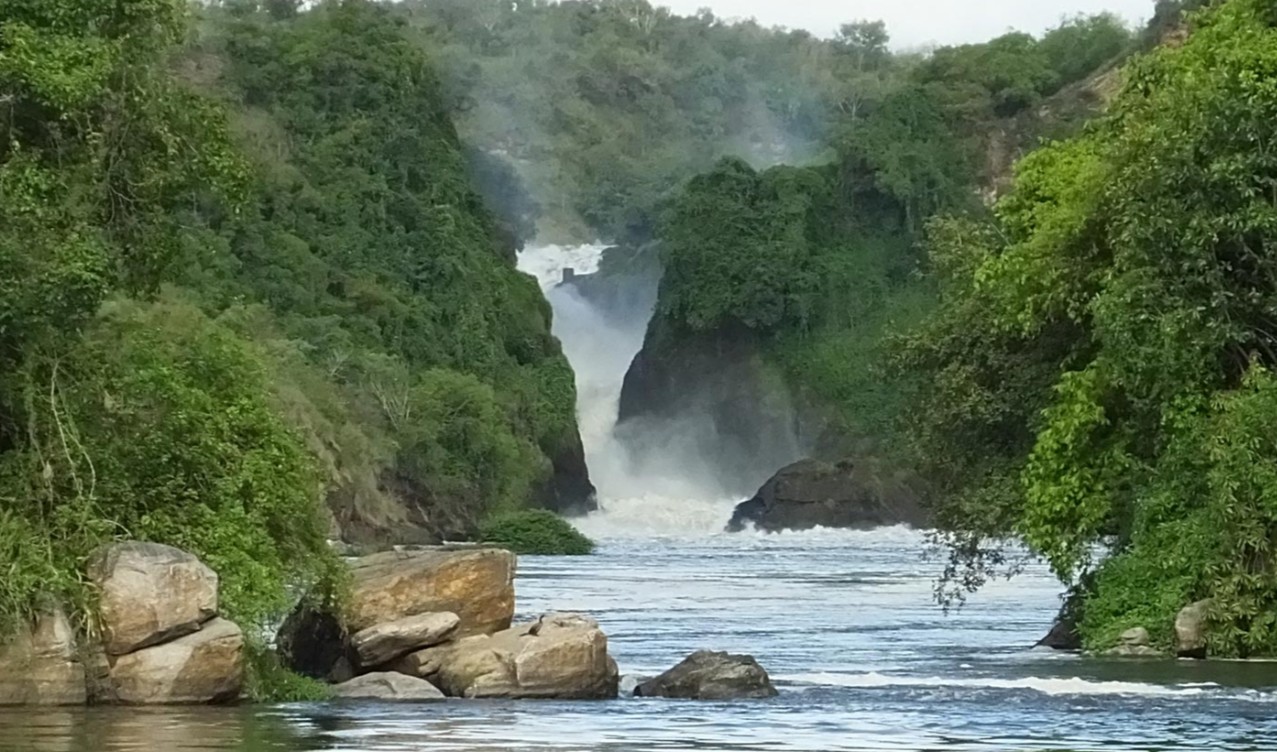 Akagera National Park and Murchison Falls National Park: These are two remarkable wildlife destinations that offer exceptional wildlife