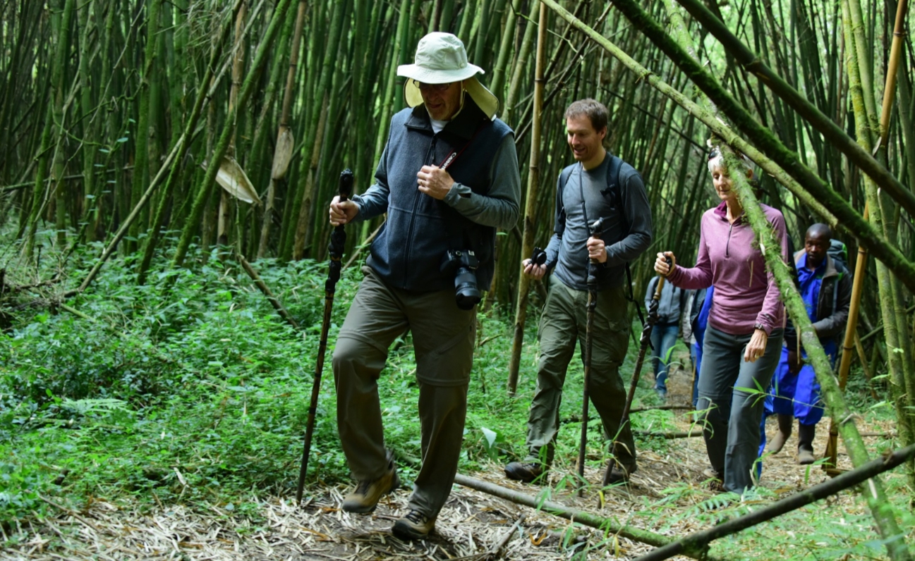 Mgahinga Nature Walk Exploration in southwestern Uganda is known for its rich biodiversity, including forests, marshes, lakes, and rivers