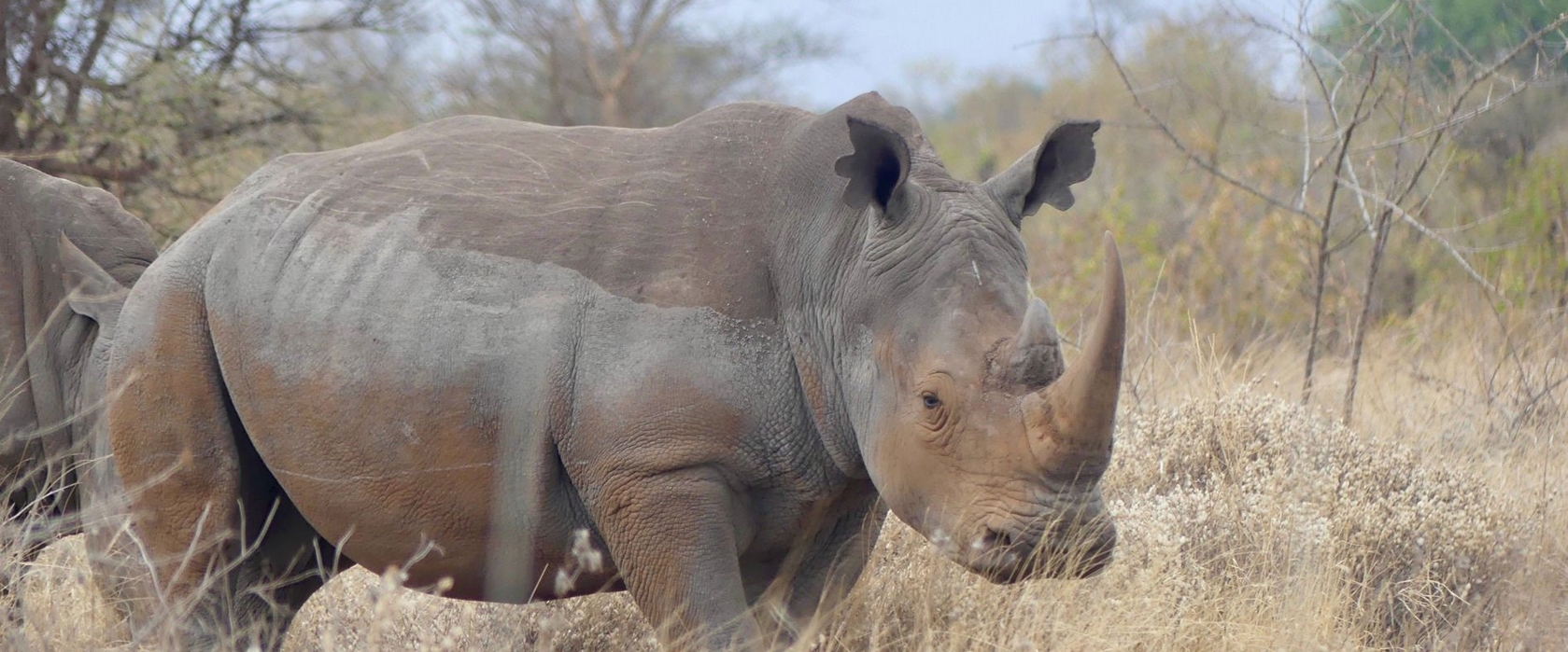 3 Days Meru National Park Safari