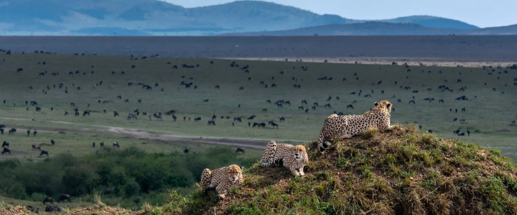 4 Days Maasai Mara Naivasha Crescent Island & Hellsgate tour