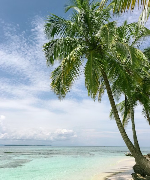 12 days 4 National parks, Nature, Wildlife & Beach adventure.