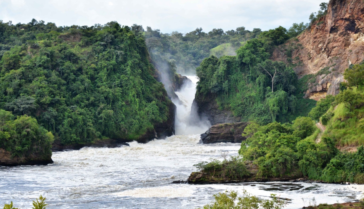 Wonders of Murchison Falls National Park, Uganda's marvel, is famous for its unique biodiversity, including savannahs, wetlands, tropical forests, rivers, riverine, and unique wildlife species