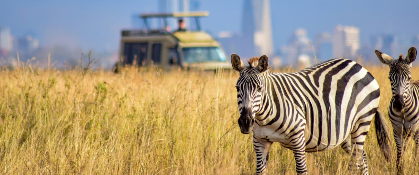 Nairobi National Park