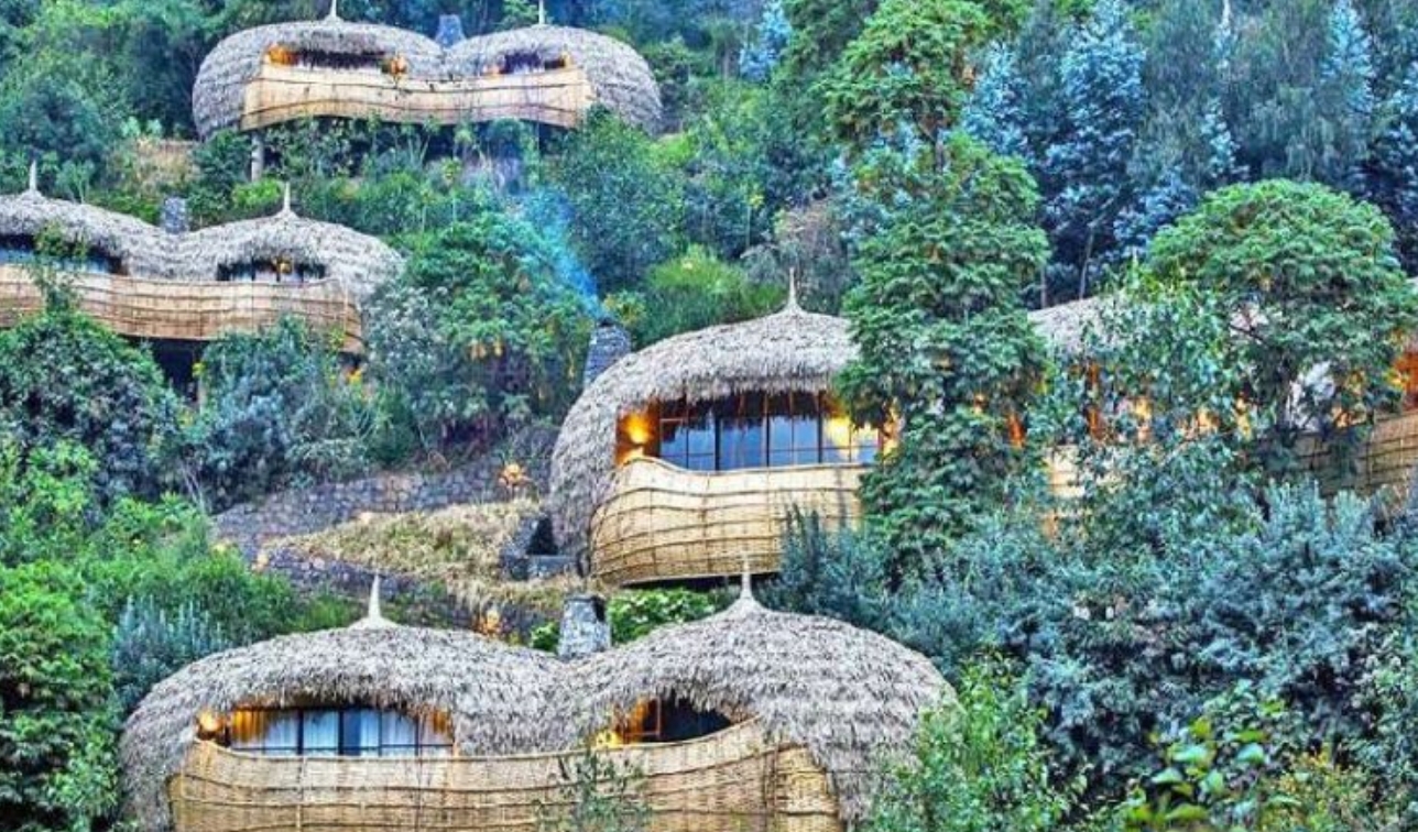 Where do you stay before and after the gorilla trek? Choosing where to stay before and after a gorilla trek is one of the most important